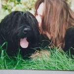 Ersteller:in Susann Profilbild