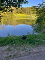 Hundeauslaufgebiet-Götzenbachsee Göggingen-Bild