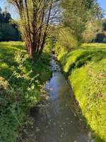 Hundeauslaufgebiet-Götzenbachsee Göggingen-Bild