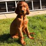 Ersteller:in Brodie‘s Profilbild