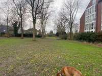 Hundeauslaufgebiet-Hundeauslaufzone-Bild