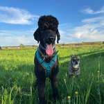 Ersteller:in Sarah Profilbild