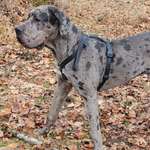 Ersteller:in Susanne Profilbild