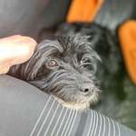 Ersteller:in Celina Profilbild