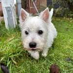 Ersteller:in Stephan Profilbild