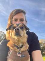 Lektüre Apportier- und Schnüffelarbeit-Beitrag-Bild