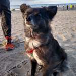 Ersteller:in Jenny Profilbild