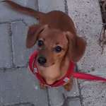 Ersteller:in Sandra Profilbild