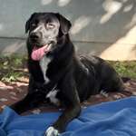 Ersteller:in Dalia Profilbild