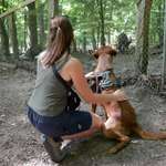 Ersteller:in Laura Profilbild