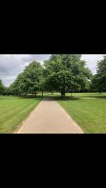 Hundeauslaufgebiet-Hundewiese Eickhorst-Bild