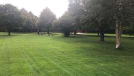 Hundeauslaufgebiet-Hundewiese Eickhorst-Bild