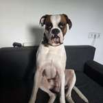 Ersteller:in Nadine und Daniel Profilbild