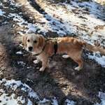 Ersteller:in Karo Profilbild