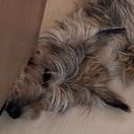 Ersteller:in Rozi Profilbild