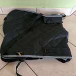 Hunde Autositz-Beitrag-Bild