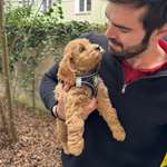 Ersteller:in Corentin Profilbild