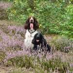 Ersteller:in Karin Profilbild