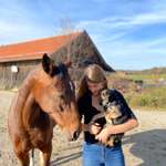 Ersteller:in Rebecca Profilbild