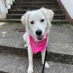 Ersteller:in Felix Profilbild