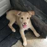 Ersteller:in Florian Profilbild