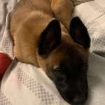 Ersteller:in Xandra Profilbild