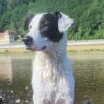 Ersteller:in Rommy Profilbild