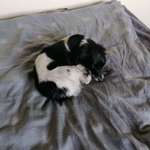 Ersteller:in Sabine Profilbild