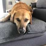 Ersteller:in Claudia Profilbild