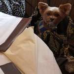 Ersteller:in Sarah & Ellie Profilbild