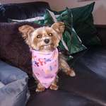 Ersteller:in Sarah & Ellie Profilbild