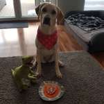 Ersteller:in Sandra und Volker Profilbild