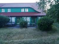 Aggressives Verhalten gegenüber Hunden / Scheinschwangerschaft-Beitrag-Bild