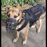 Ersteller:in Sumaia Profilbild