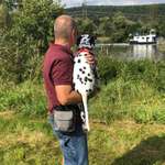 Ersteller:in Wolfgang Profilbild