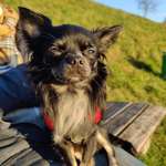 Ersteller:in Alina Profilbild