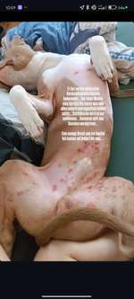 Wir möchten wissen,was mit Poohs Haut los ist?-Beitrag-Bild