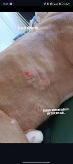 Wir möchten wissen,was mit Poohs Haut los ist?-Beitrag-Bild