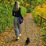 Ersteller:in Fee Profilbild