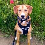 Ersteller:in Sandra Profilbild