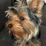 Ersteller:in Ümit Profilbild