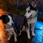 Ersteller:in Veronika Profilbild