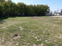 Hundeauslaufgebiet-Kids Inn/Barth-Bild