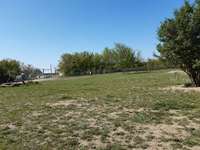 Hundeauslaufgebiet-Kids Inn/Barth-Bild