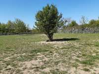 Hundeauslaufgebiet-Kids Inn/Barth-Bild