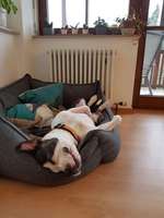 Schlafposition-Beitrag-Bild