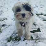 Ersteller:in Carolin Profilbild