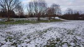 Hundeauslaufgebiet-Theklaer Straße-Bild