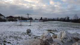 Hundeauslaufgebiet-Theklaer Straße-Bild