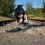 Ersteller:in Jacqueline Profilbild